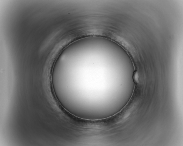 X0000096680625200802121212