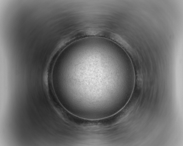 X0000096680626200802121212