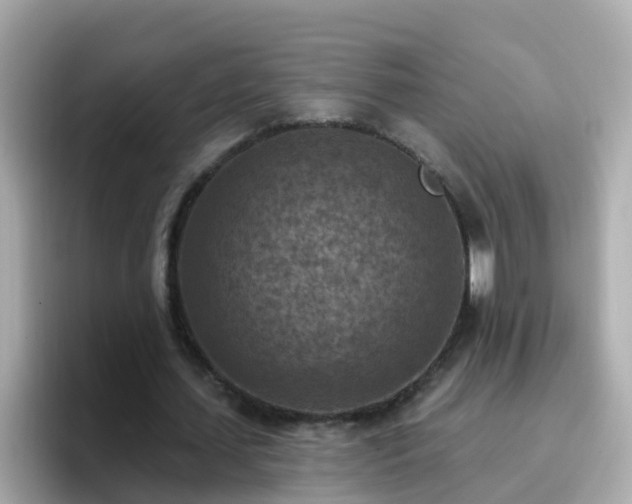 X0000096680627200802121212