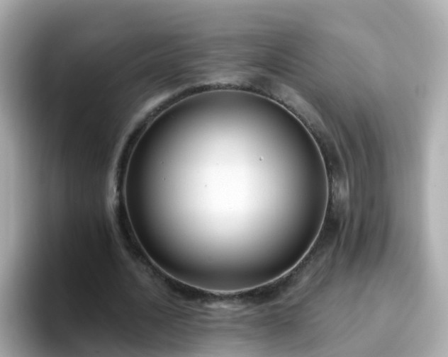 X0000096680628200802121212
