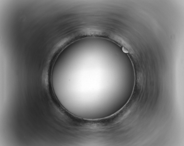 X0000096680629200802121212