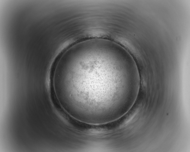 X0000096680630200802121212