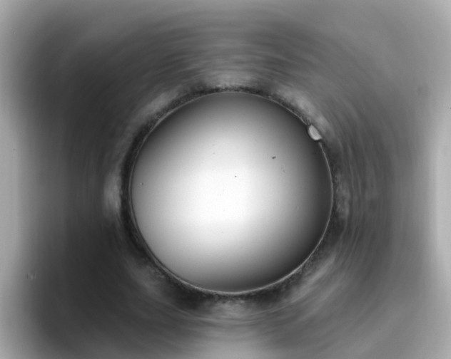 X0000096680631200802121212
