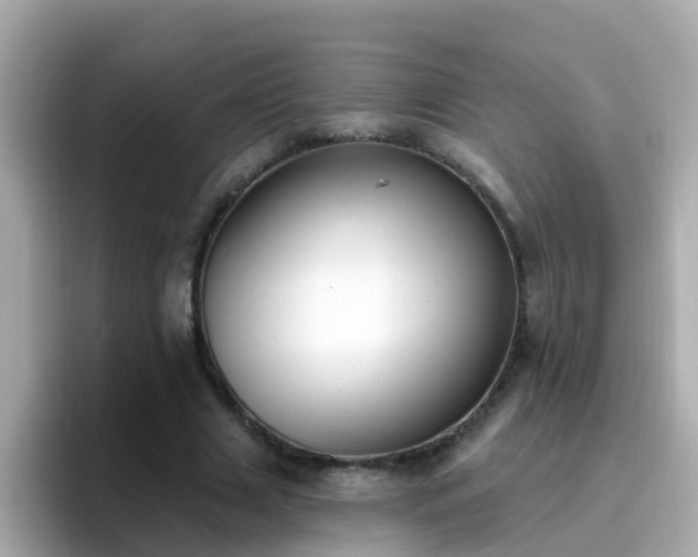 X0000096680633200802121212