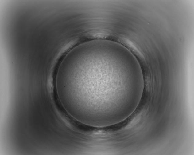 X0000096680634200802121212