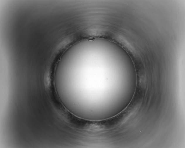 X0000096680635200802121212
