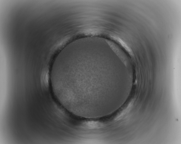 X0000096680637200802121212