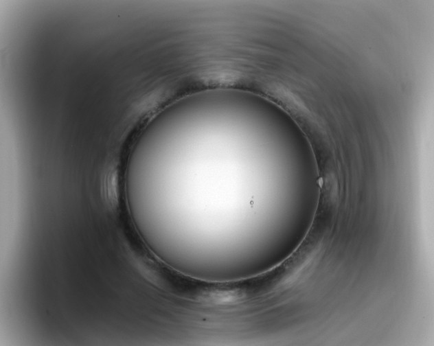 X0000096680638200802121212