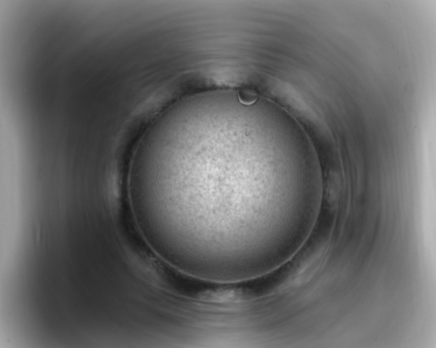 X0000096680639200802121212