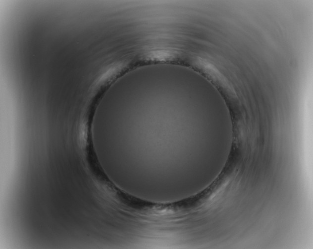 X0000096680640200802121212