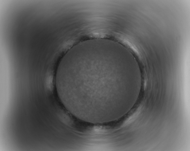 X0000096680641200802121212