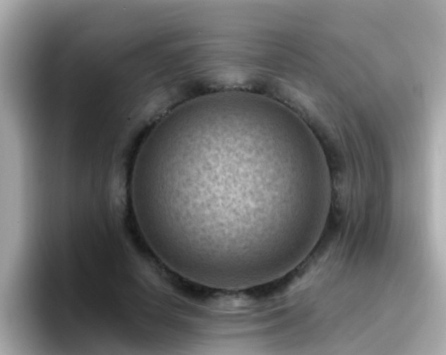 X0000096680642200802121212