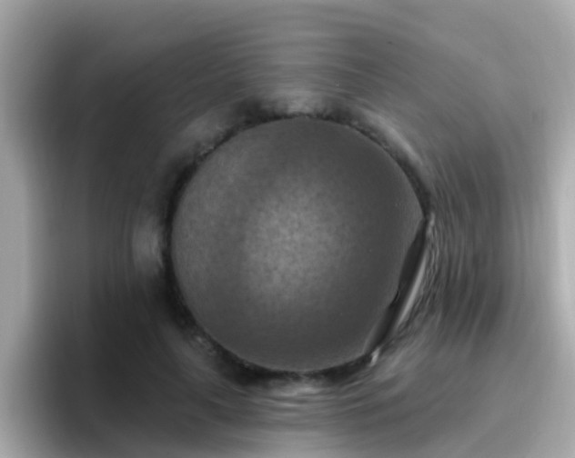 X0000096680643200802121212