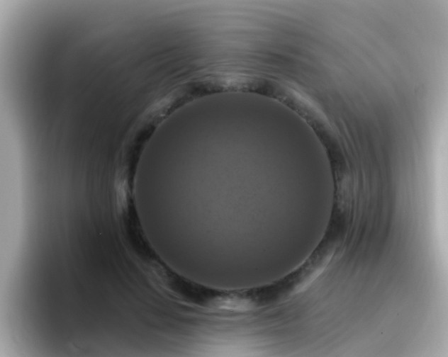 X0000096680644200802121212