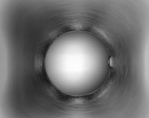 X0000096680645200802121212
