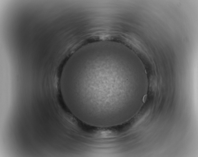 X0000096680650200802121213