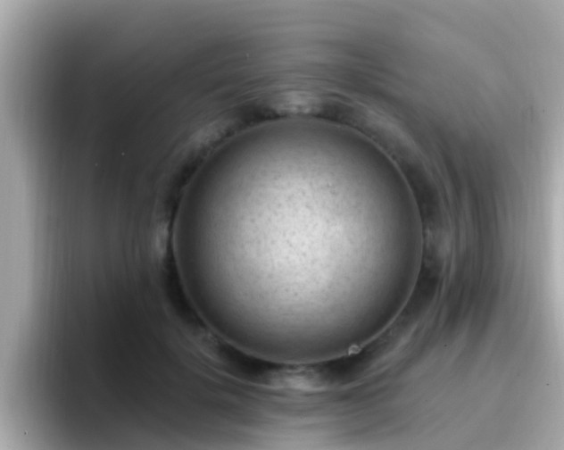 X0000096680652200802121213