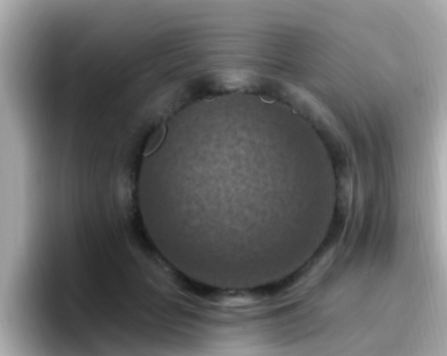 X0000096680653200802121213
