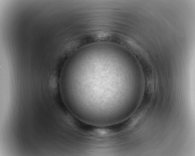X0000096680654200802121213