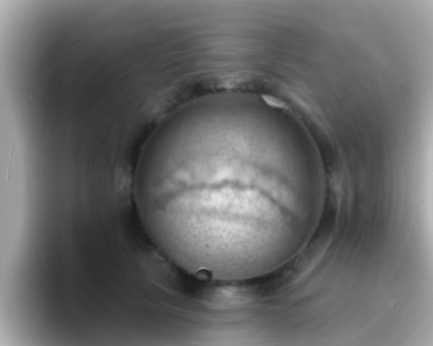 X0000096680657200802121213