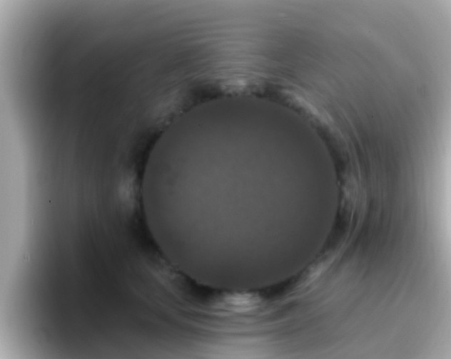 X0000096680659200802121213