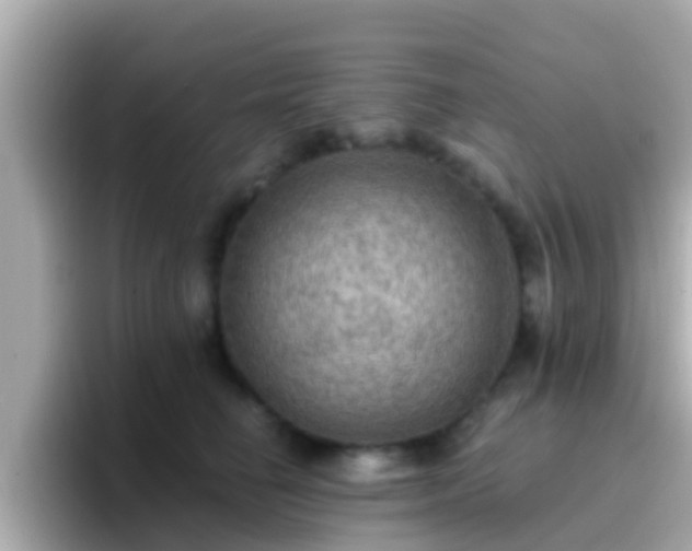 X0000096680662200802121213