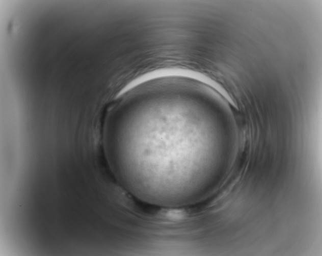 X0000096680665200802121213