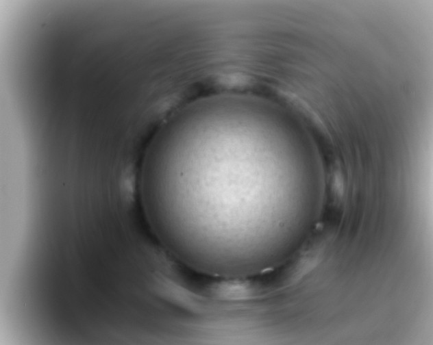 X0000096680668200802121213