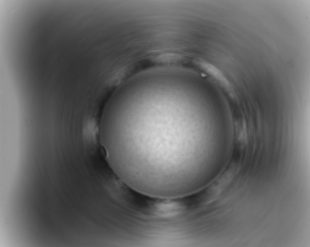 X0000096680669200802121213