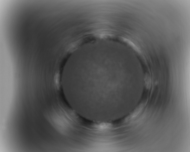 X0000096680670200802121213