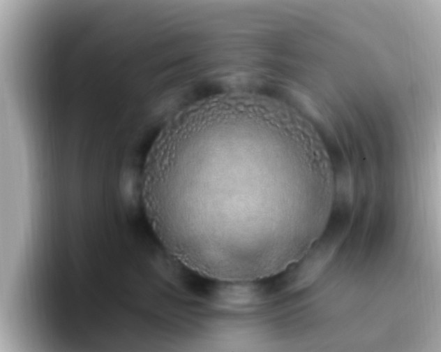 X0000096680671200802121213