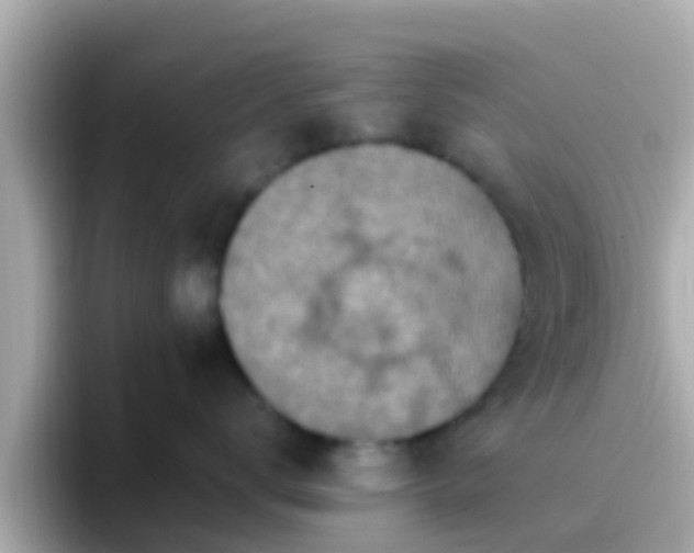 X0000096680672200802121213
