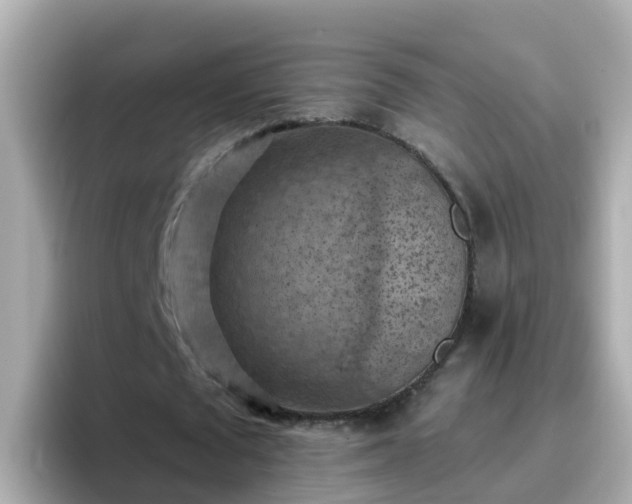 X0000096680673200802121212