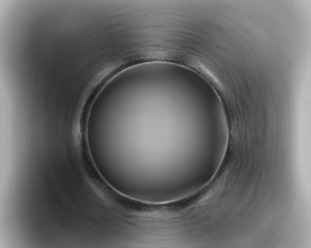 X0000096680674200802121212