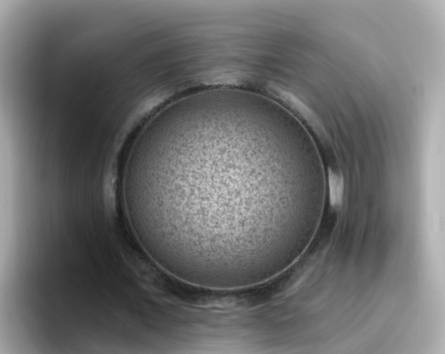 X0000096680675200802121212