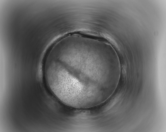 X0000096680676200802121212