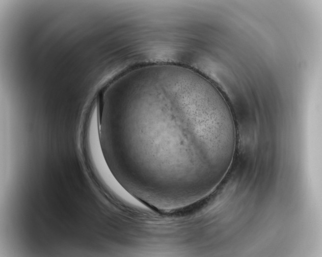X0000096680677200802121212