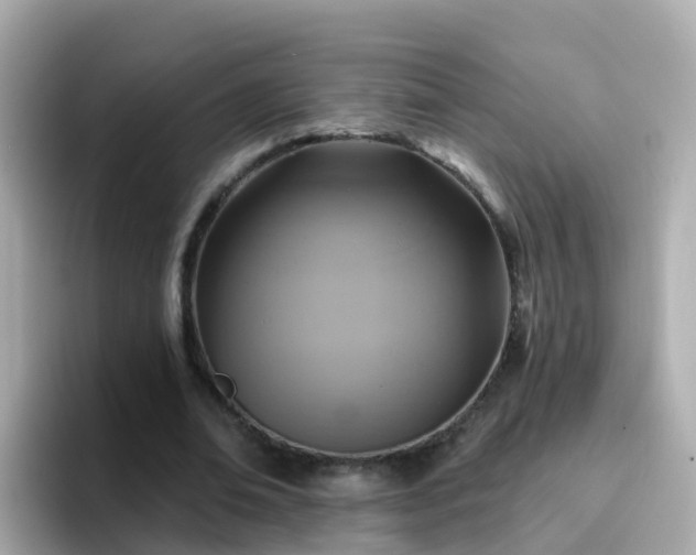 X0000096680678200802121212