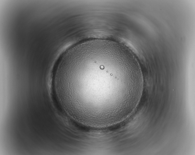 X0000096680679200802121212