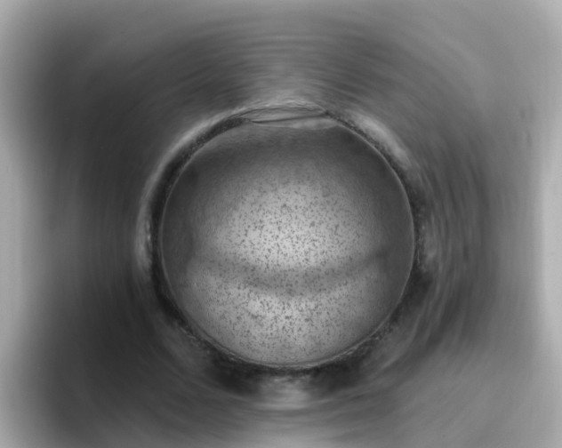 X0000096680680200802121212