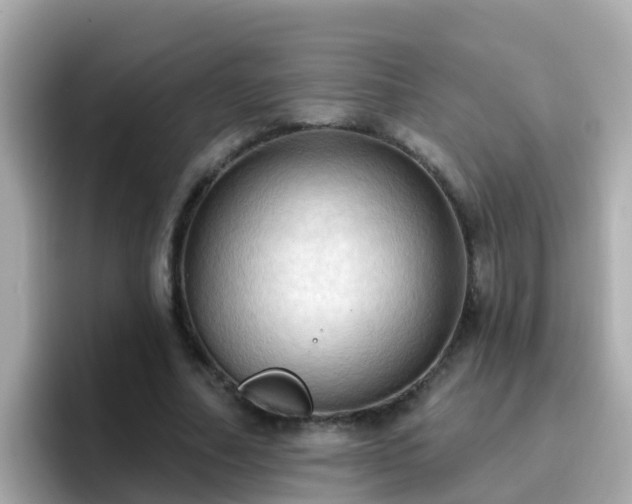 X0000096680682200802121212
