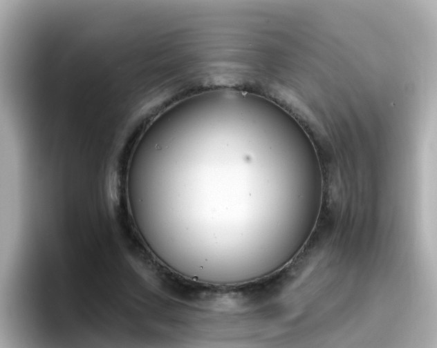 X0000096680683200802121212