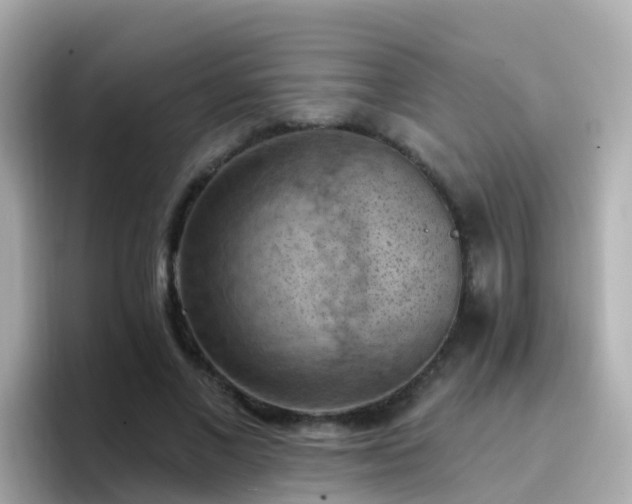X0000096680685200802121212