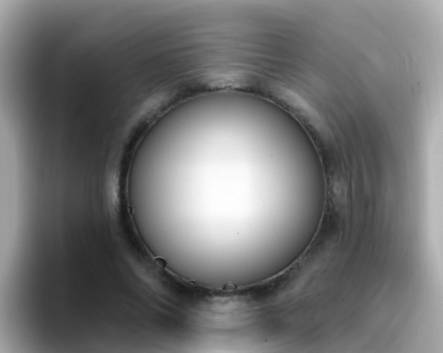 X0000096680686200802121212