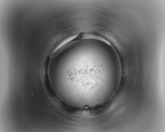 X0000096680687200802121212