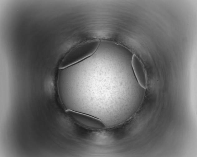 X0000096680688200802121212