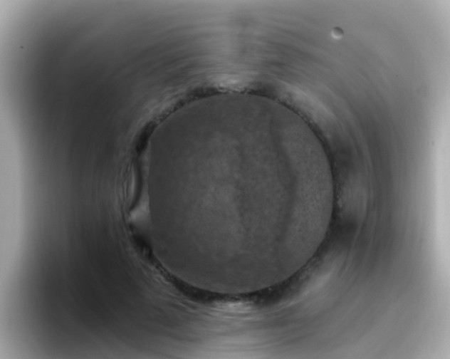 X0000096680689200802121212
