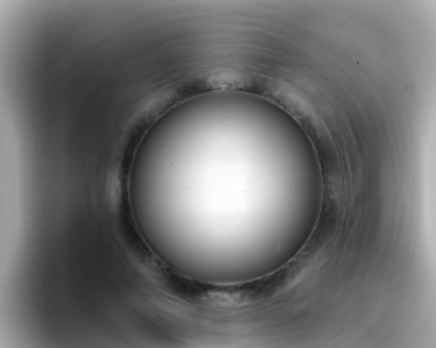 X0000096680690200802121212