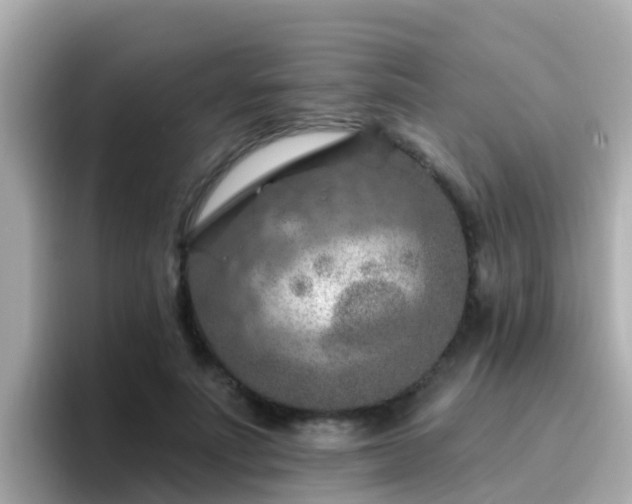 X0000096680691200802121212