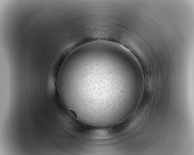 X0000096680692200802121212